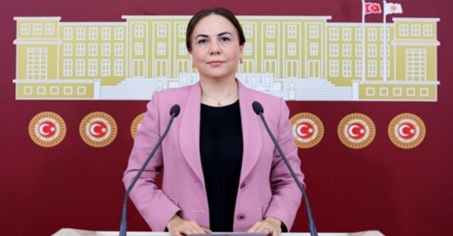 Aracından indirilen ve polise hakaret eden AK Partili Zeynep Gül Yılmaz ilk defa konuştu