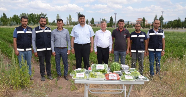 Belediye çalışanlarından örnek hareket: İhtiyaç sahipleri için sebze üretiyorlar