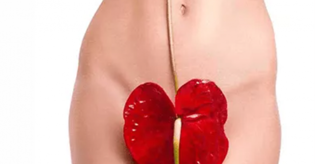 Kızlık Zarı Nedir? Anatomik Yapısı Nasıldır?