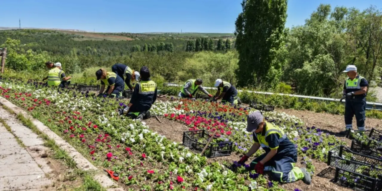 Ankara çiçeklerle donatılacak