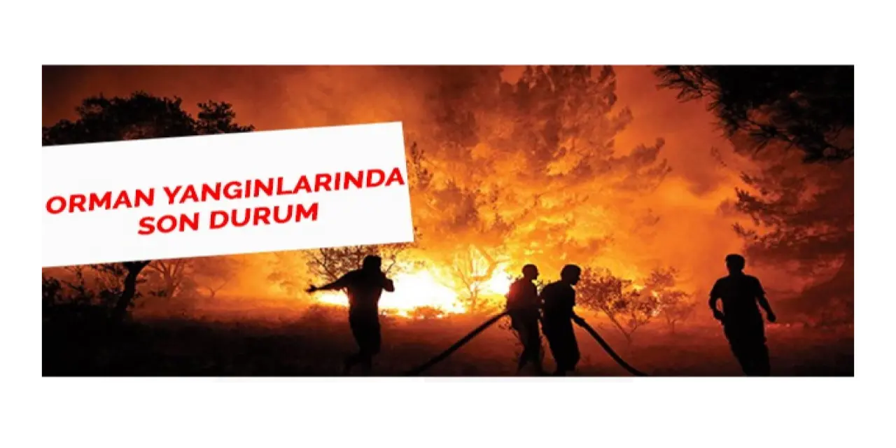 Orman Yangınlarında Son Durum