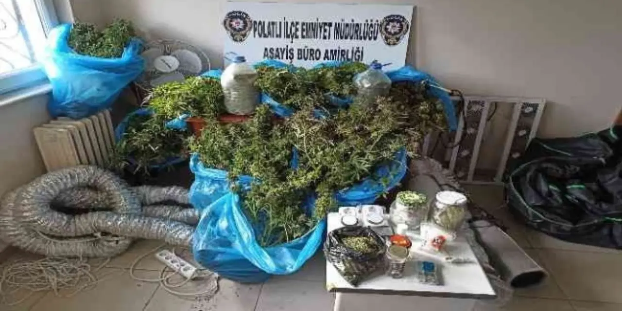 Ankara'da evinin balkonunda esrar yetiştirdi