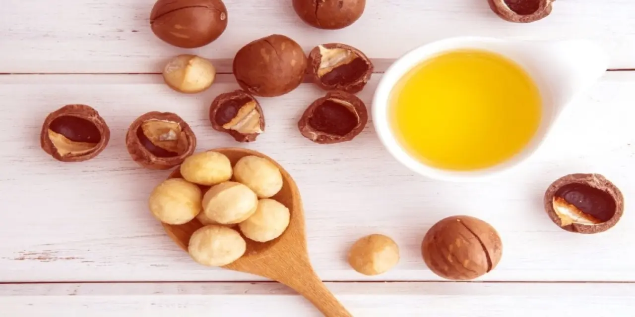 Makademya fındığı faydaları - Makademya yağı faydaları
