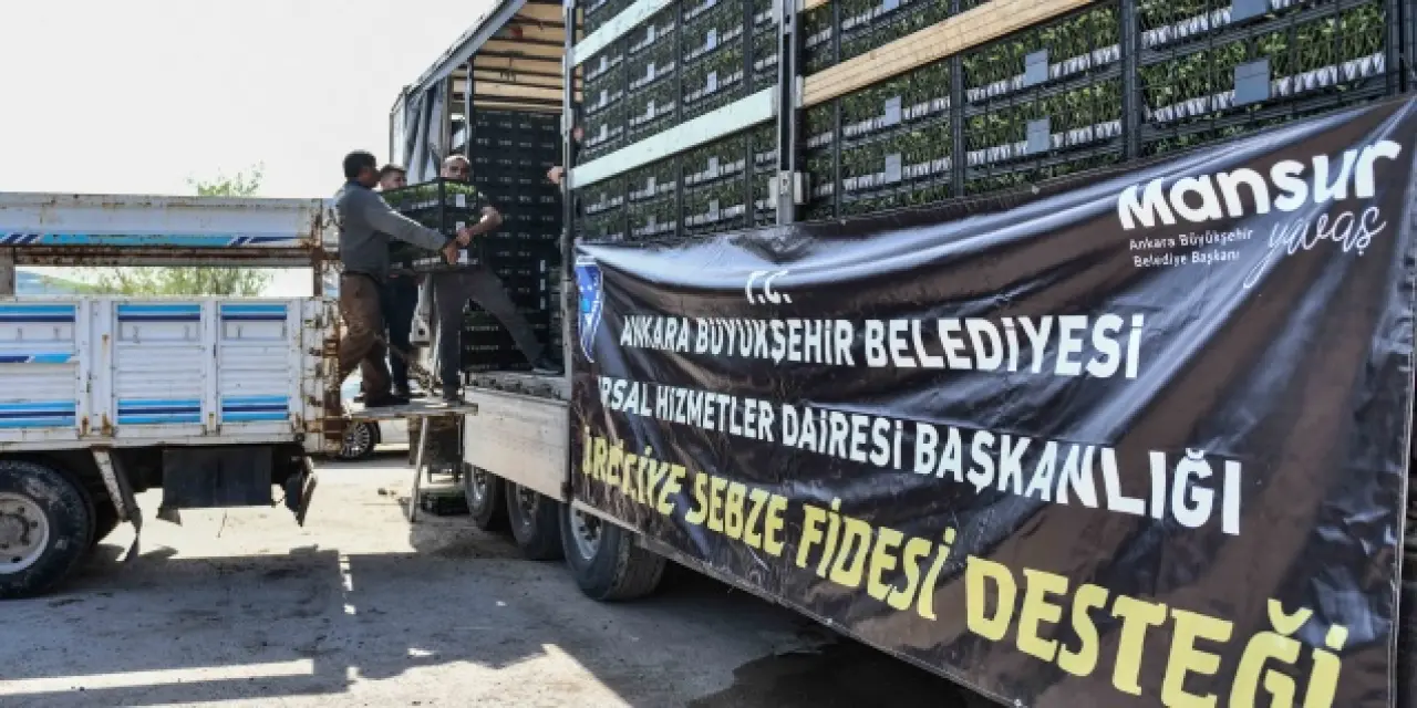 ABB’den sebze fidesi desteği