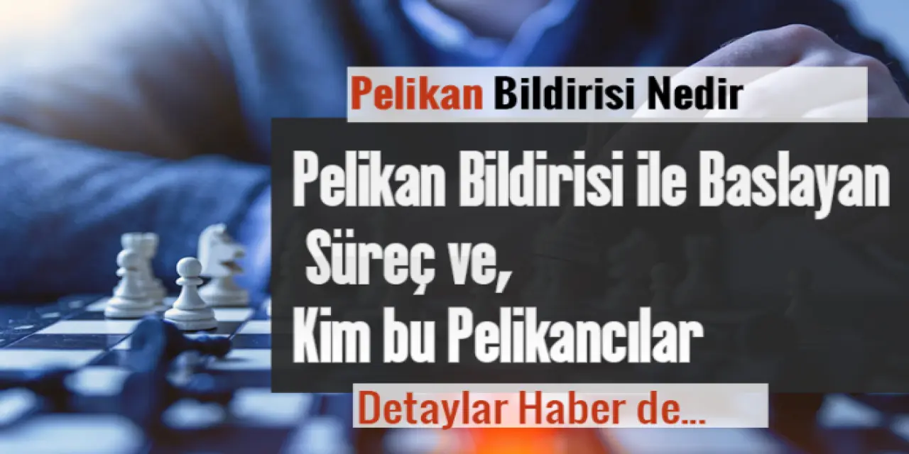 Pelikancılar Nedir Ve Kimlerdir?