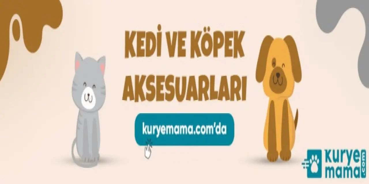 Petshop light diyet frisbee kedi köpek mamaları ve oyuncakları gözden geçirin kurye mama adres