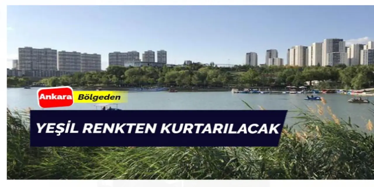 Yeşil renginden kurtaracaklar
