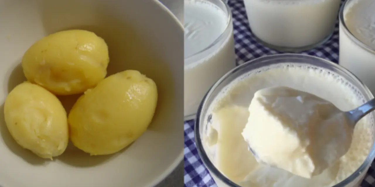 Mucizevi Patates Yoğurt Diyeti