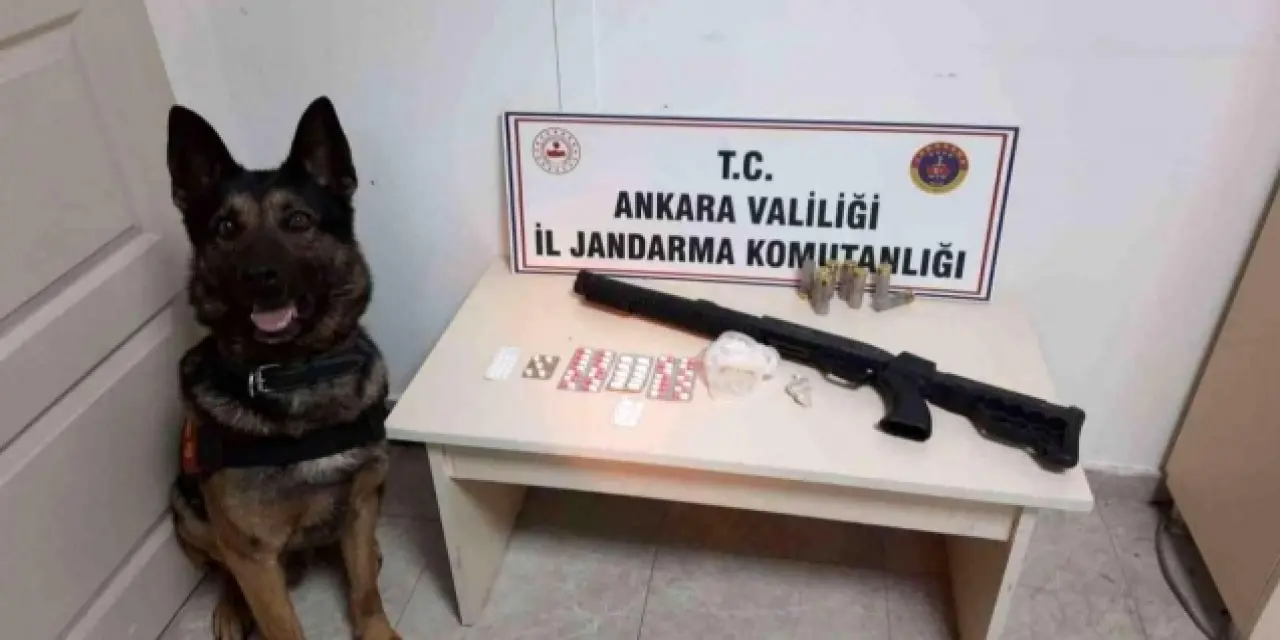 Ankara’da zehir tacirlerine operasyon düzenlendi