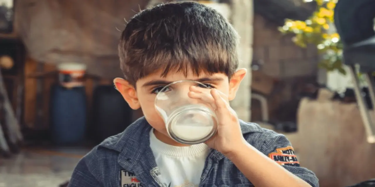 Pastörize Süt Dışarıda Ne Kadar Dayanır?