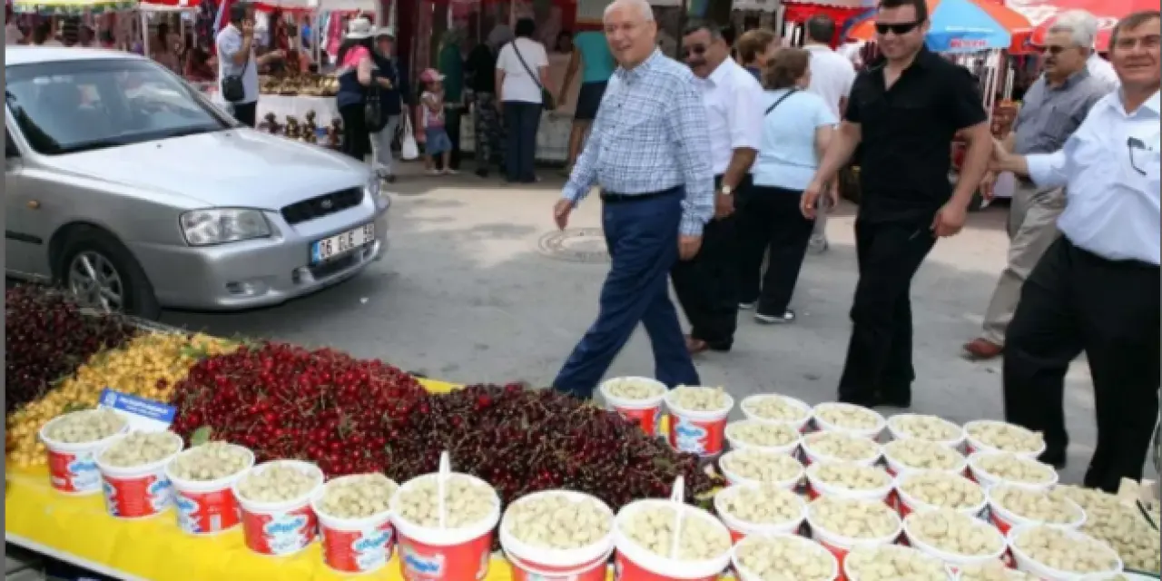 Ayaş Dut Festivali başlıyor