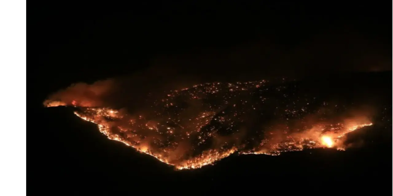 Antalya, Mersin, Adana, Aydın, Osmaniye, Muğla, Kayseri ve Manisa'da Orman Yangınları