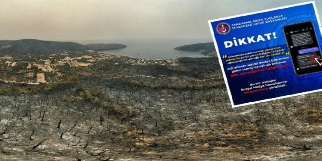 Sosyal medyadaki ‘ağaç bağışı’ için uyarılar geldi