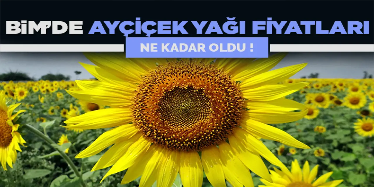 Bim Ayçiçek Yağı Fiyatları Ne Kadar Oldu?